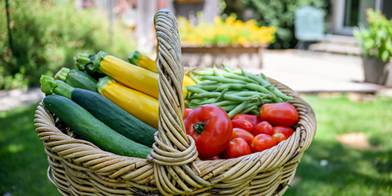 معرفی غذاها و مکمل هایی برای بهبود بینایی کودکان