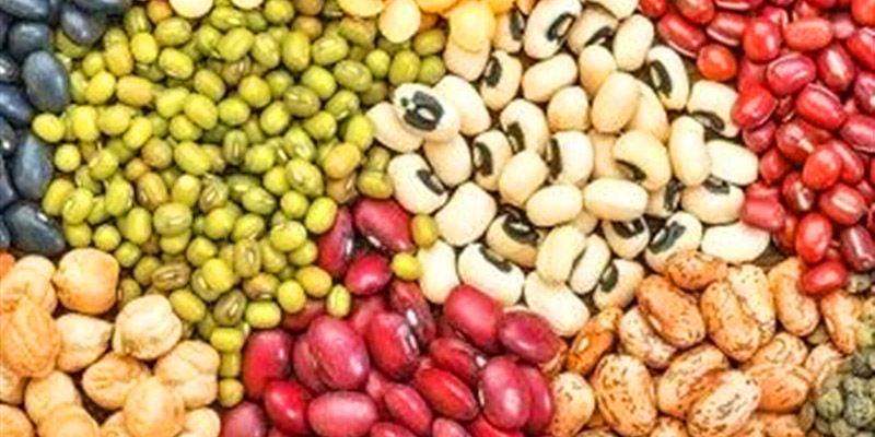 معرفی غذاها و مکمل هایی برای بهبود بینایی کودکان